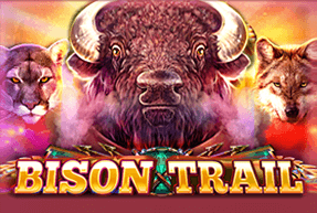 Bison Trail
