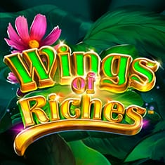 Wings of Riches